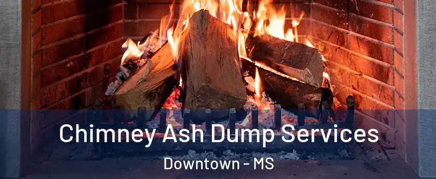 Chimney Ash Dump Services Downtown - MS