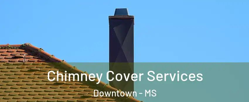 Chimney Cover Services Downtown - MS