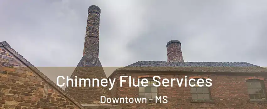 Chimney Flue Services Downtown - MS